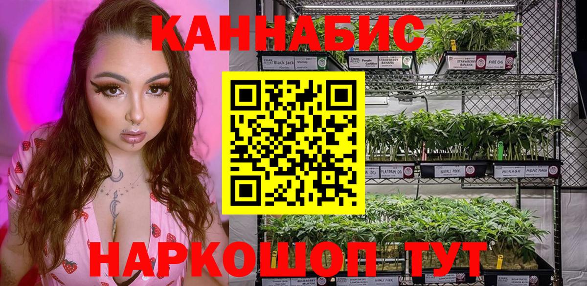 Алейск  Каннабис планчик  Канабис семена  Бошки марихуана AK-47  Вход с VPN 
